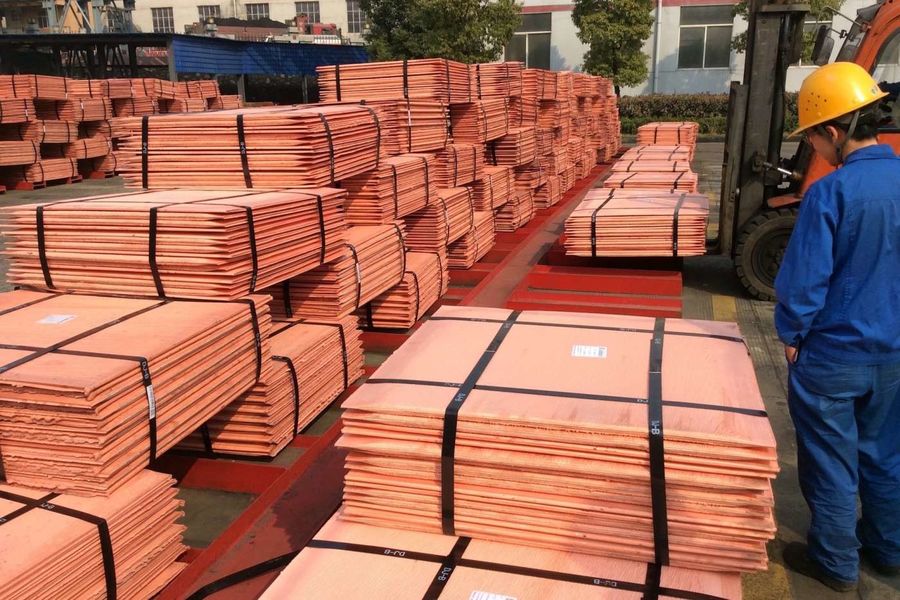 الصين Jiangsu Xintaiming Technology Co., Ltd. ملف الشركة